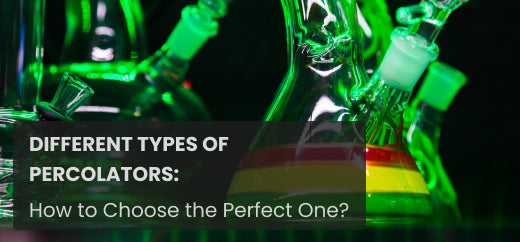Different Types of Percolators Bong