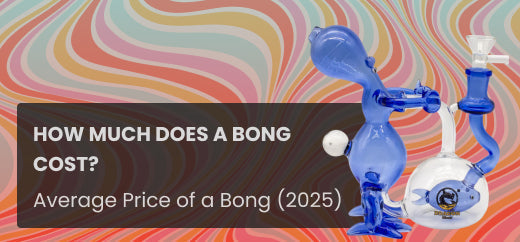 How Much Does a Bong Cost