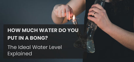 How Much Water Do You Put in a Bong