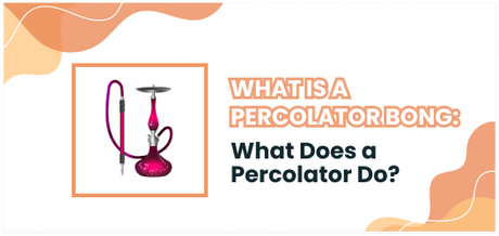 What Is a Percolator Bong? Types, Benefits, and Uses