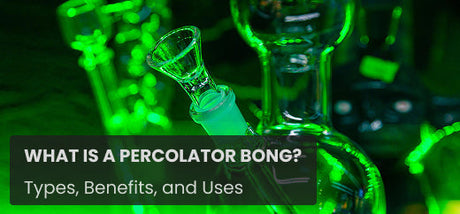 What is a Percolator Bong